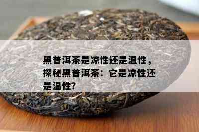 黑普洱茶是凉性还是温性，探秘黑普洱茶：它是凉性还是温性？