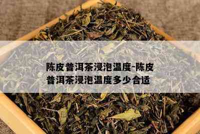 陈皮普洱茶浸泡温度-陈皮普洱茶浸泡温度多少合适