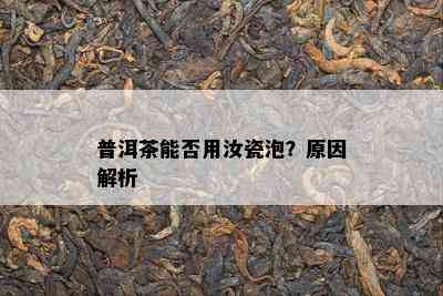 普洱茶能否用汝瓷泡？原因解析