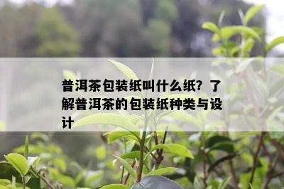 普洱茶包装纸叫什么纸？了解普洱茶的包装纸种类与设计