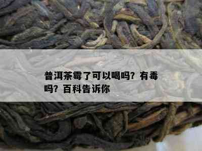 普洱茶霉了可以喝吗？有吗？百科告诉你