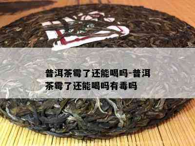 普洱茶霉了还能喝吗-普洱茶霉了还能喝吗有吗