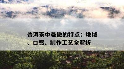 普洱茶中曼撒的特点：地域、口感、制作工艺全解析