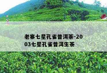 老寨七星孔雀普洱茶-2003七星孔雀普洱生茶