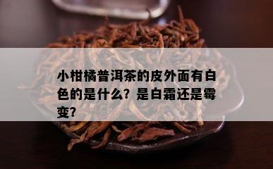 小柑橘普洱茶的皮外面有白色的是什么？是白霜还是霉变？