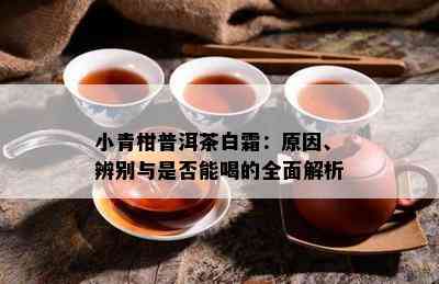 小青柑普洱茶白霜：原因、辨别与是否能喝的全面解析