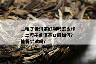 二嘎子普洱茶好喝吗怎么样，二嘎子普洱茶口感如何？值得尝试吗？