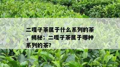 二嘎子茶属于什么系列的茶，揭秘：二嘎子茶属于哪种系列的茶？