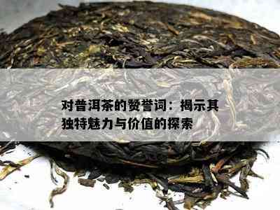 对普洱茶的赞誉词：揭示其独特魅力与价值的探索