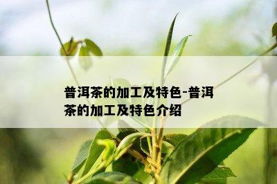 普洱茶的加工及特色-普洱茶的加工及特色介绍