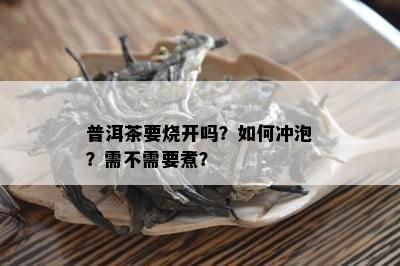 普洱茶要烧开吗？如何冲泡？需不需要煮？