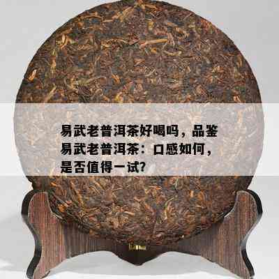 易武老普洱茶好喝吗，品鉴易武老普洱茶：口感如何，是否值得一试？