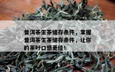 普洱茶生茶储存条件，掌握普洱茶生茶储存条件，让你的茶叶口感更佳！