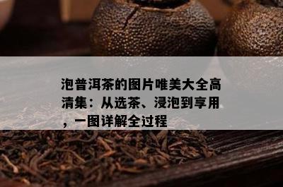 泡普洱茶的图片唯美大全高清集：从选茶、浸泡到享用，一图详解全过程