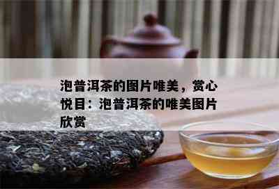 泡普洱茶的图片唯美，赏心悦目：泡普洱茶的唯美图片欣赏