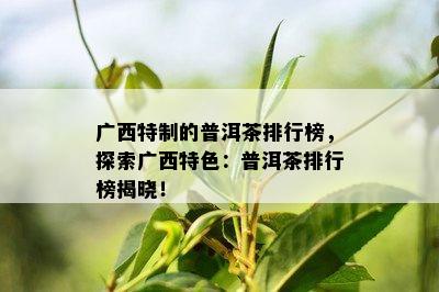 广西特制的普洱茶排行榜，探索广西特色：普洱茶排行榜揭晓！