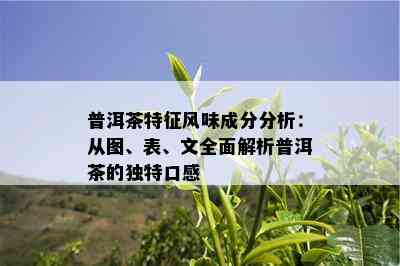 普洱茶特征风味成分分析：从图、表、文全面解析普洱茶的独特口感