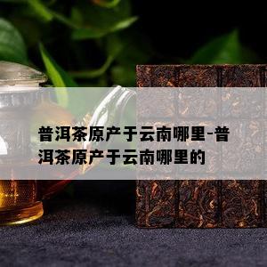 普洱茶原产于云南哪里-普洱茶原产于云南哪里的