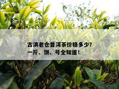 古滇老仓普洱茶价格多少？一斤、饼、号全知道！