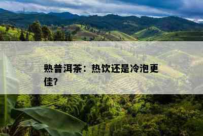 熟普洱茶：热饮还是冷泡更佳？