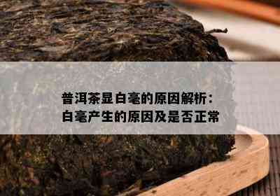 普洱茶显白毫的原因解析：白毫产生的原因及是否正常