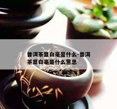 普洱茶显白毫是什么-普洱茶显白毫是什么意思