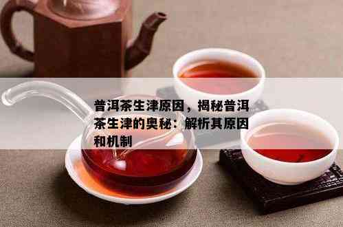 普洱茶生津原因，揭秘普洱茶生津的奥秘：解析其原因和机制