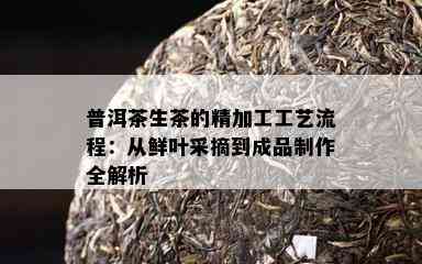 普洱茶生茶的精加工工艺流程：从鲜叶采摘到成品制作全解析