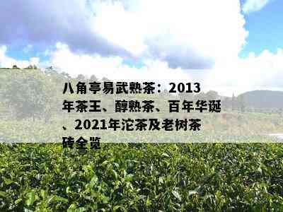 八角亭易武熟茶：2013年茶王、醇熟茶、百年华诞、2021年沱茶及老树茶砖全览