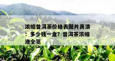 浓缩普洱茶价格表图片高清：多少钱一盒？普洱茶浓缩液全览