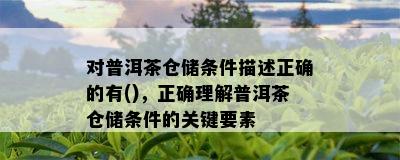 对普洱茶仓储条件描述正确的有()，正确理解普洱茶仓储条件的关键要素