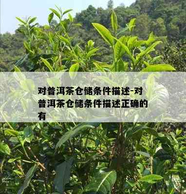 对普洱茶仓储条件描述-对普洱茶仓储条件描述正确的有