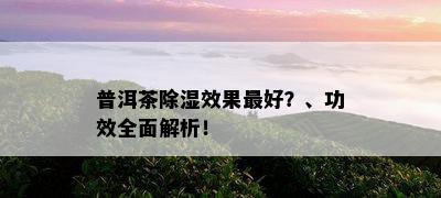 普洱茶除湿效果更好？、功效全面解析！