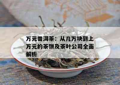 万元普洱茶：从几万块到上万元的茶饼及茶叶公司全面解析