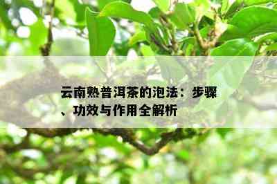 云南熟普洱茶的泡法：步骤、功效与作用全解析