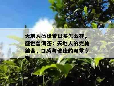 天地人盛世普洱茶怎么样，盛世普洱茶：天地人的完美结合，口感与健康的双重享受