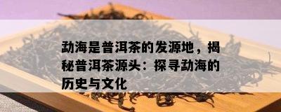 勐海是普洱茶的发源地，揭秘普洱茶源头：探寻勐海的历史与文化