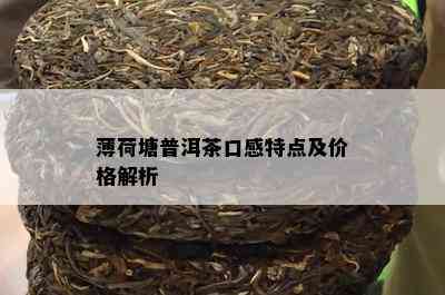 薄荷塘普洱茶口感特点及价格解析