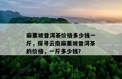 麻栗坡普洱茶价格多少钱一斤，探寻云南麻栗坡普洱茶的价格，一斤多少钱？