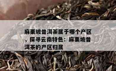 麻栗坡普洱茶属于哪个产区，探寻云南特色：麻栗坡普洱茶的产区归属