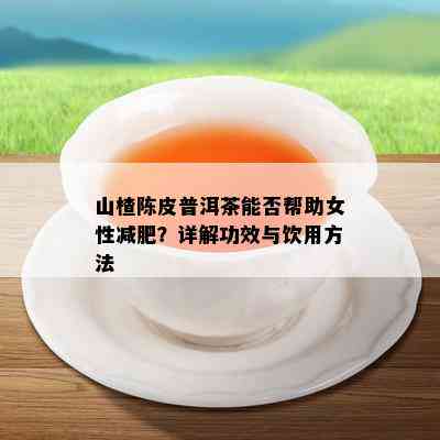 山楂陈皮普洱茶能否帮助女性减肥？详解功效与饮用方法