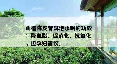 山楂陈皮普洱泡水喝的功效：降血脂、促消化、抗氧化，但孕妇禁饮。