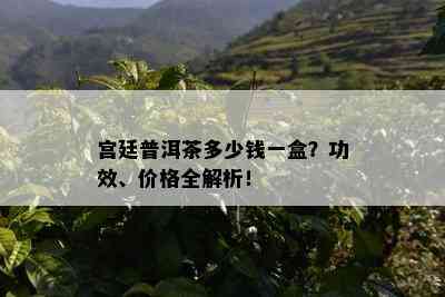 宫廷普洱茶多少钱一盒？功效、价格全解析！