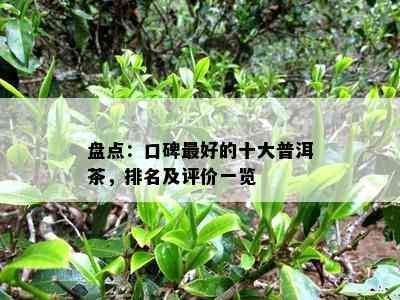 盘点：口碑更好的十大普洱茶，排名及评价一览