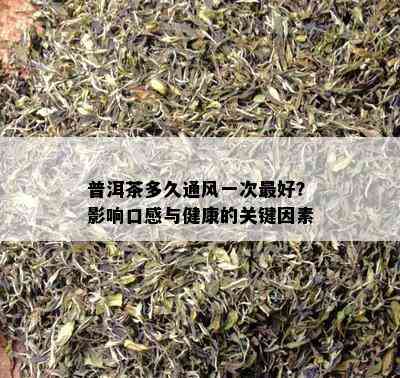 普洱茶多久通风一次更好？影响口感与健康的关键因素