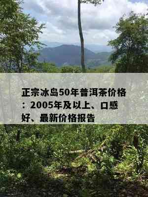 正宗冰岛50年普洱茶价格：2005年及以上、口感好、最新价格报告