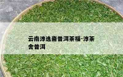 云南淳逸斋普洱茶福-淳茶舍普洱