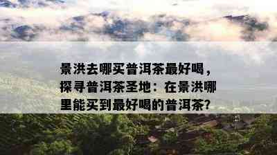 景洪去哪买普洱茶更好喝，探寻普洱茶圣地：在景洪哪里能买到更好喝的普洱茶？