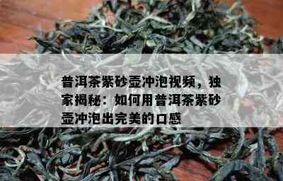 普洱茶紫砂壶冲泡视频，独家揭秘：如何用普洱茶紫砂壶冲泡出完美的口感