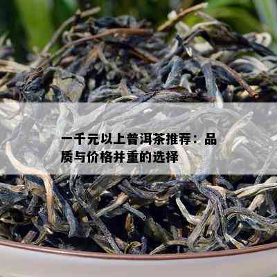 一千元以上普洱茶推荐：品质与价格并重的选择